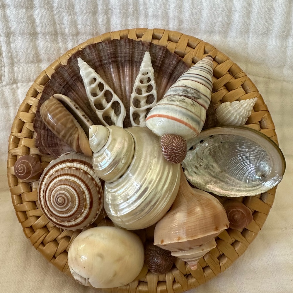 Vintage rattan/wicker seashell coaster set.  Excellent like new condition.